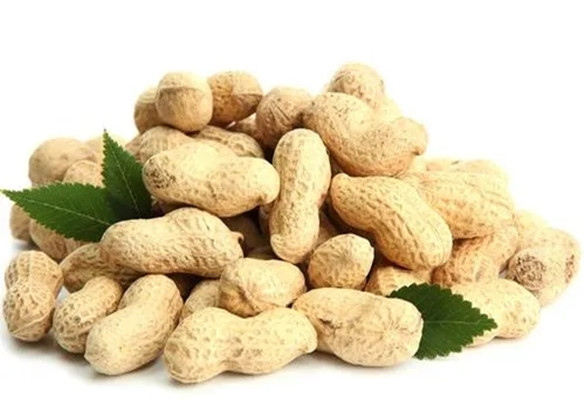 冬季养生吃什么好？推荐这4种食物，助你温暖过寒冬！